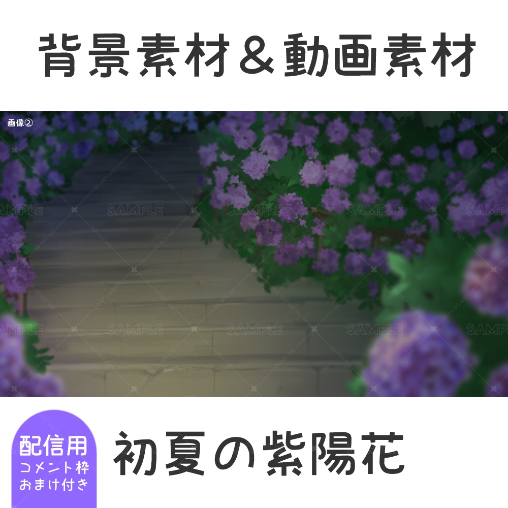 【期間限定無料配布】初夏の紫陽花-画像&動画素材