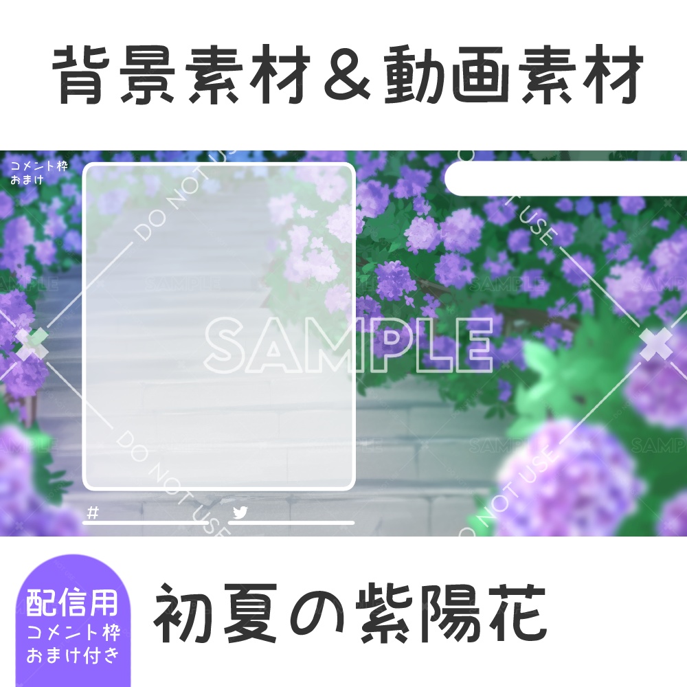 【期間限定無料配布】初夏の紫陽花-画像&動画素材