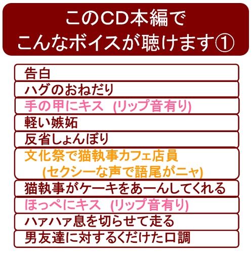 【期間限定受注】ボイスCD「溺愛系全力男子〜おれを彼氏にしてください〜」(CV.北島壮峻)