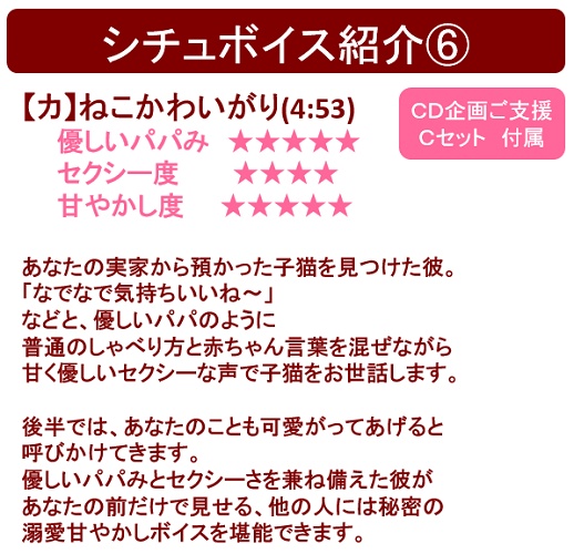 【期間限定受注】ボイスCD「溺愛系全力男子〜おれを彼氏にしてください〜」(CV.北島壮峻)