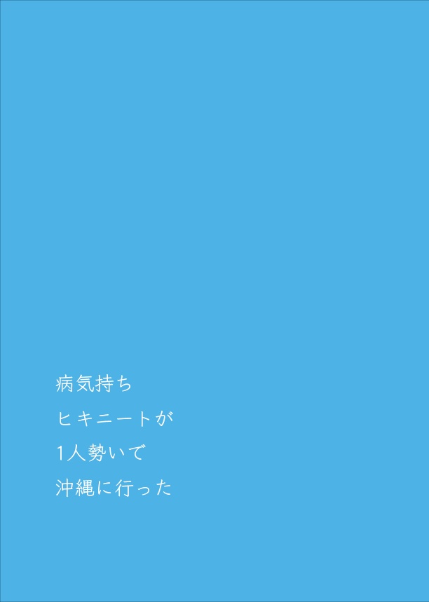病気持ちヒキニートが1⼈勢いで沖縄に⾏った