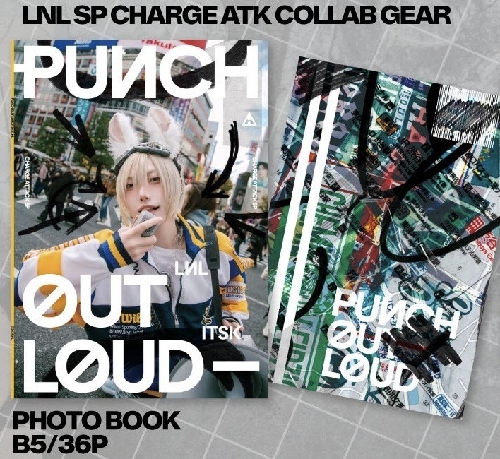 PUNCH OUT LOUD- PHOTO BOOK