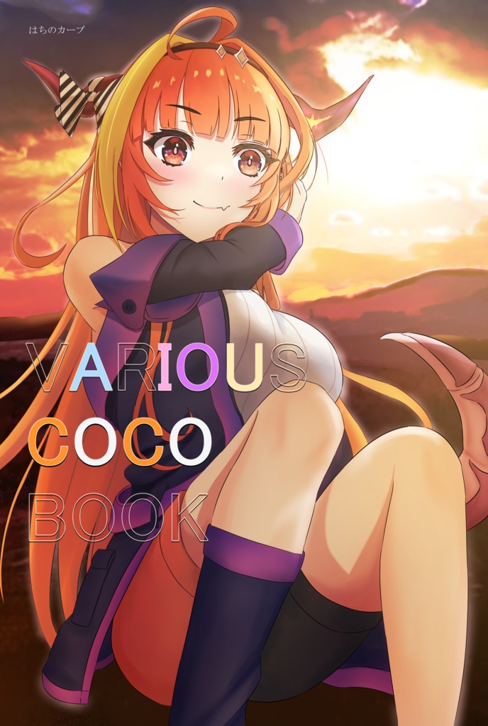 VARIOUS COCO BOOK