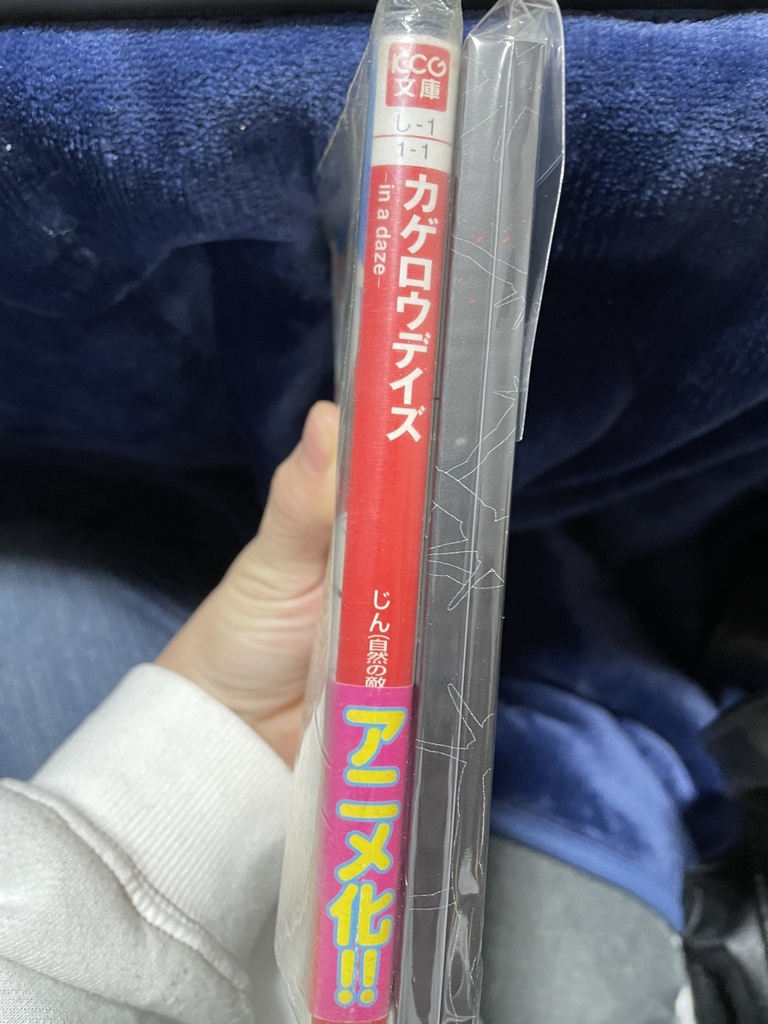 如月シンタローと斎藤一たちが手を組む話