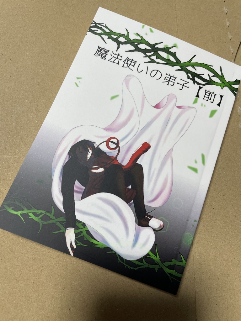 魔法使いの弟子 【前】