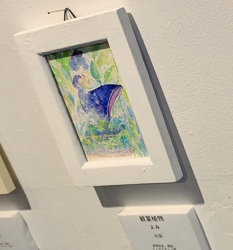 観葉植物 ※先約済み