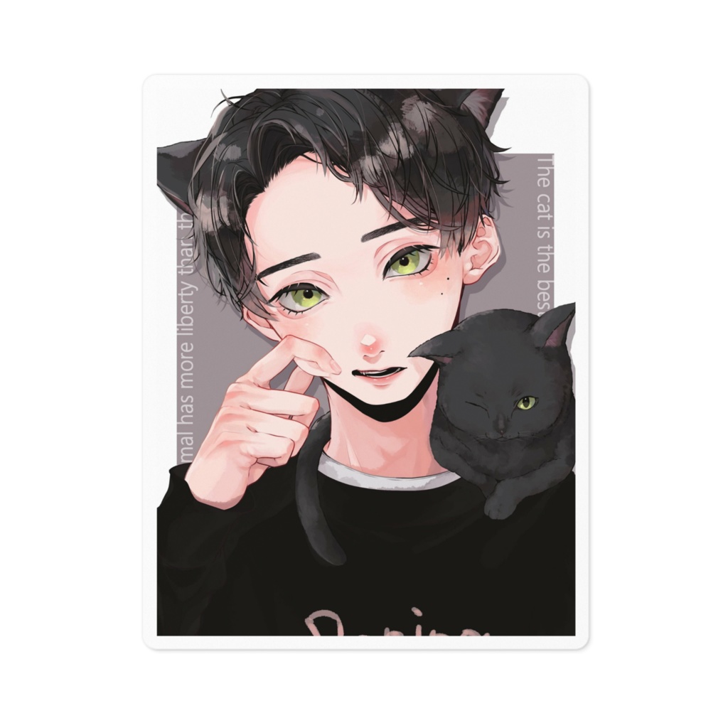 Black cat