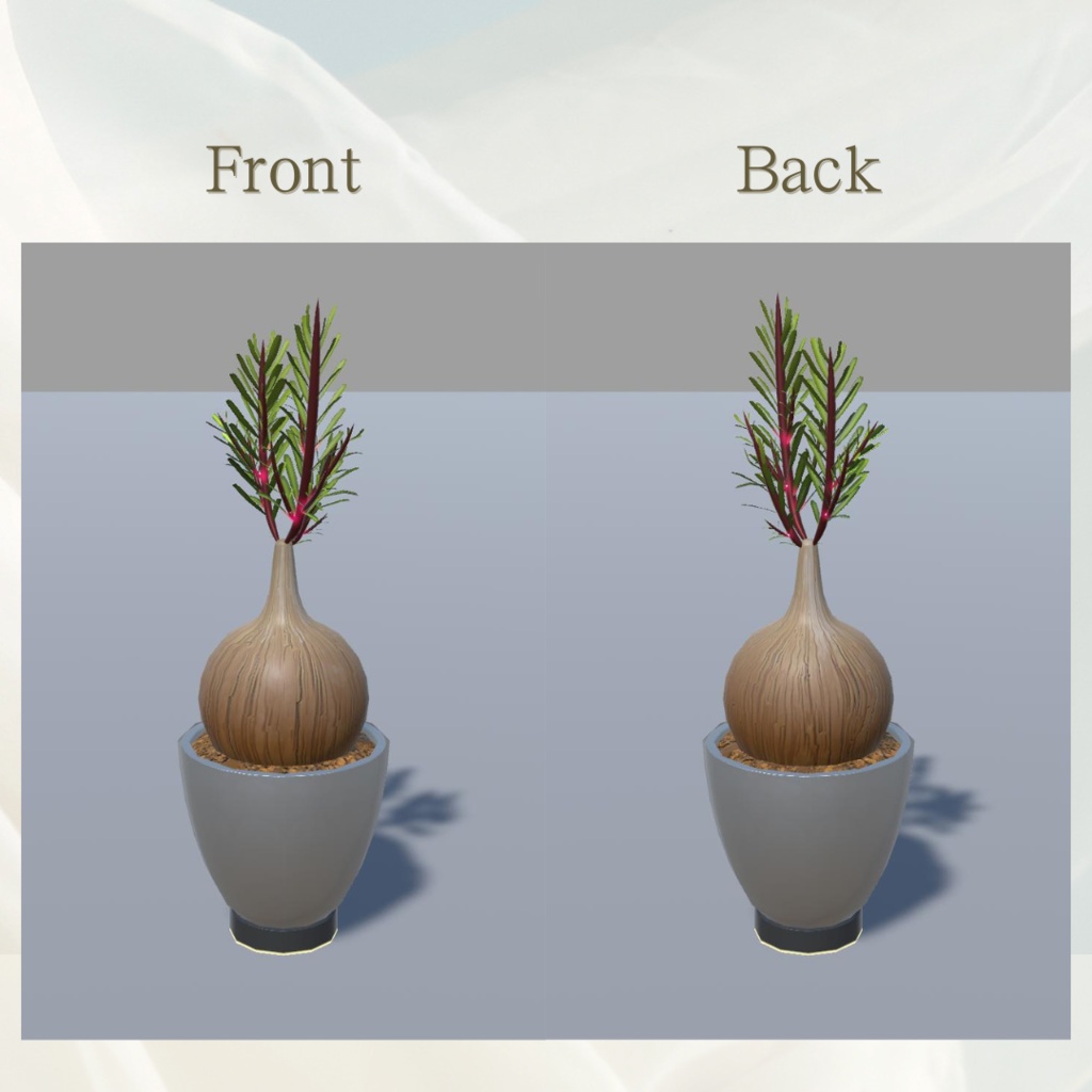 【3Dモデル】多肉植物セットA/Succulent Plants Set A【2点】