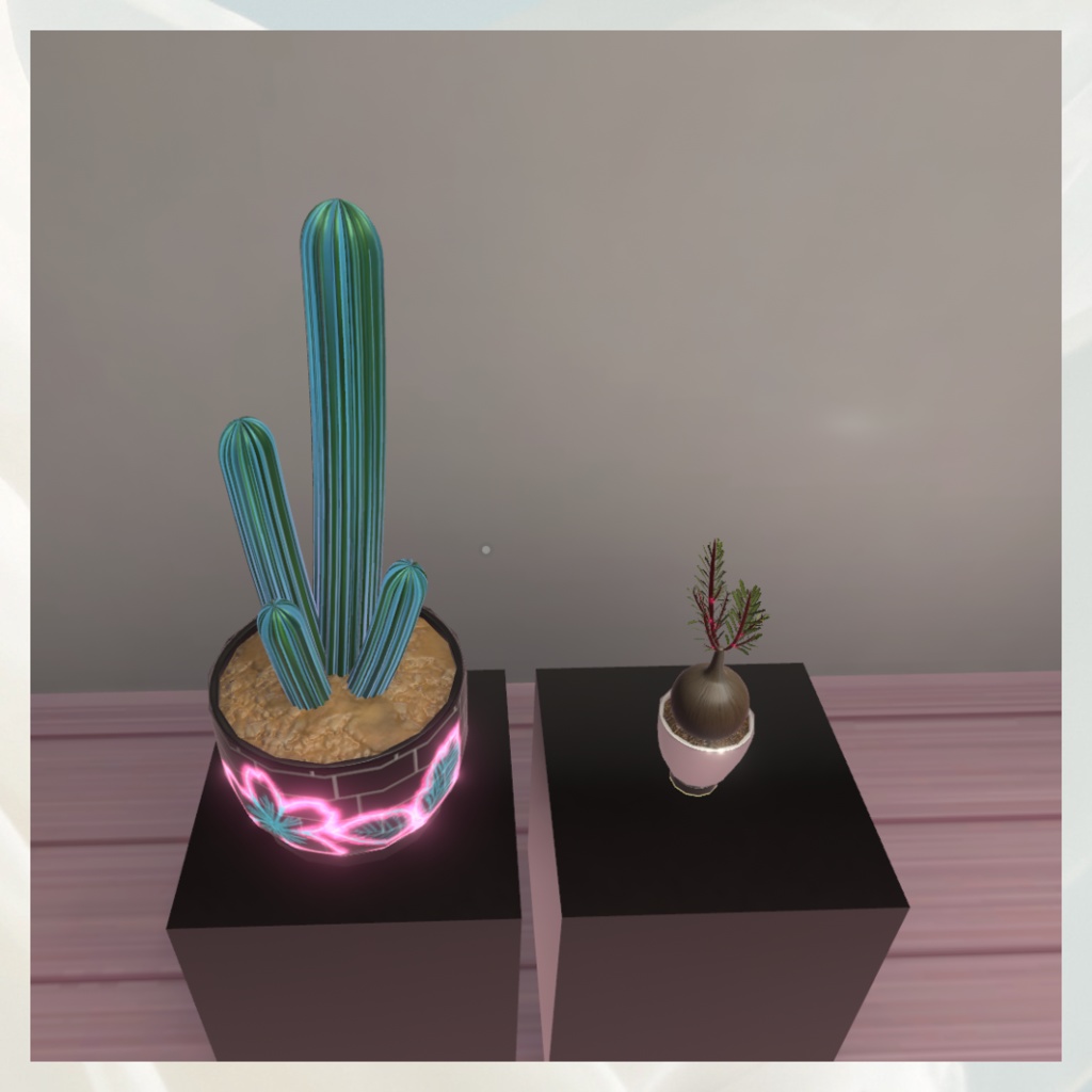【3Dモデル】多肉植物セットA/Succulent Plants Set A【2点】