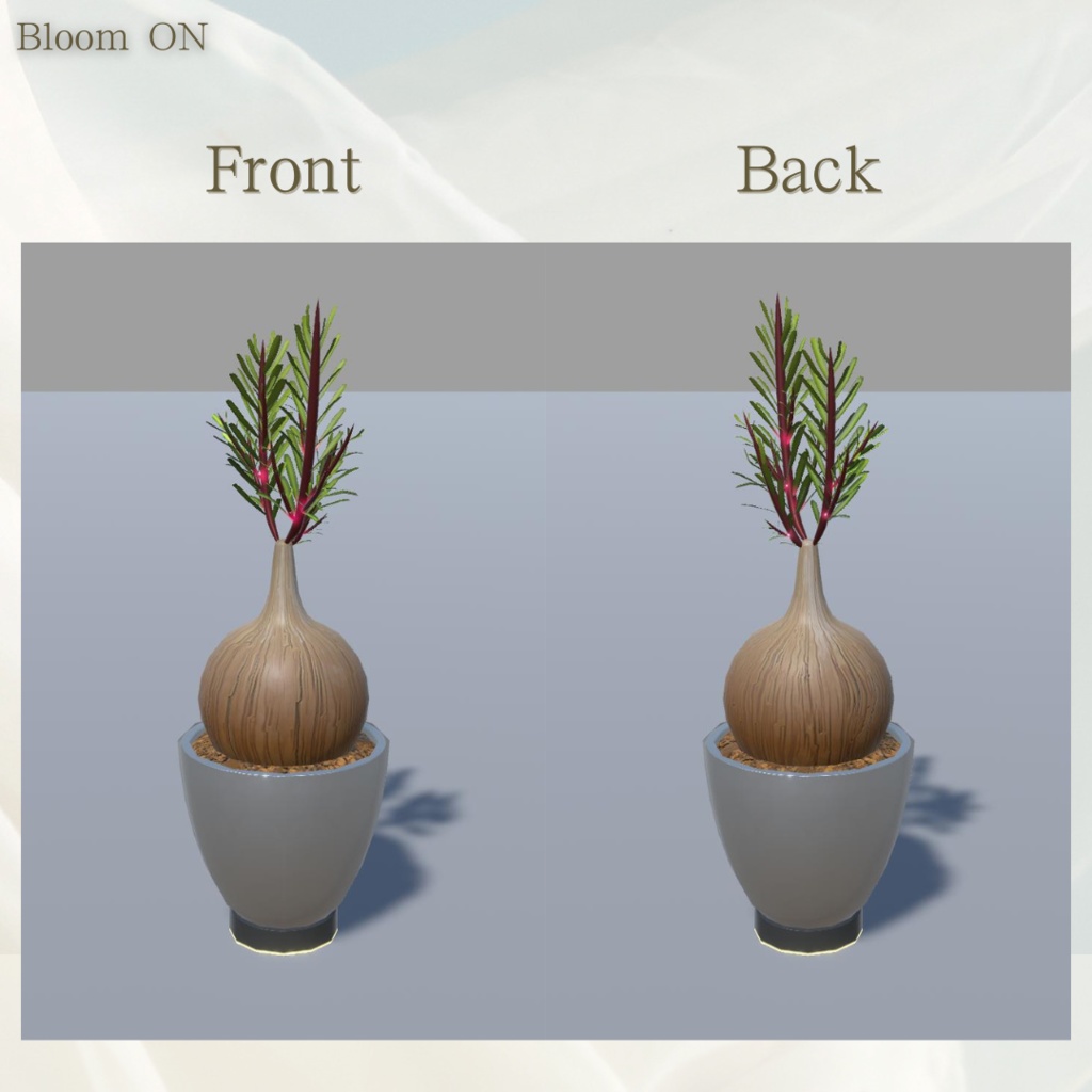 【3Dモデル】多肉植物セットA/Succulent Plants Set A【2点】