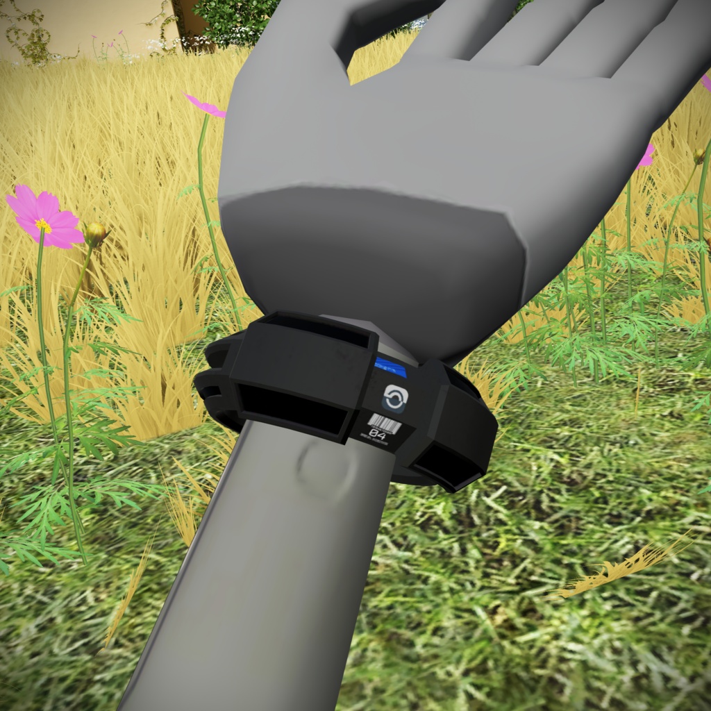 Cyber Wrist Device