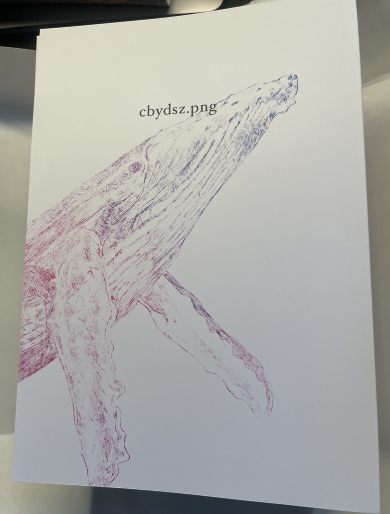 ONÇA PRETA Ⅱ - PINGA FAN ART BOOK