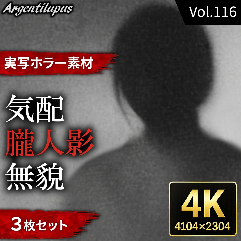 【4K・実写ホラー素材】気配・朧人影・無貌 3枚セット【AI生成】Vol.116