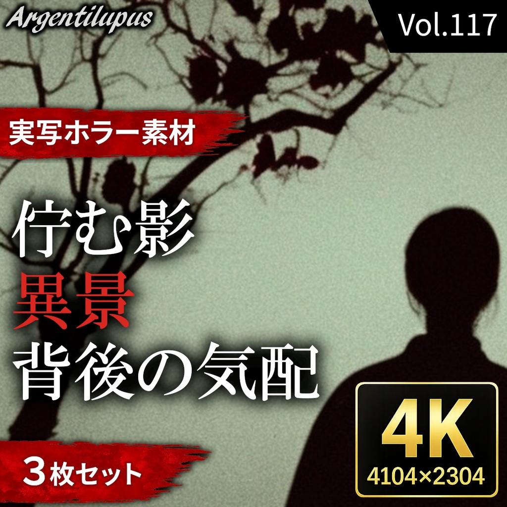 【4K・実写ホラー素材】佇む影・異景・背後の気配 3枚セット【AI生成】Vol.117