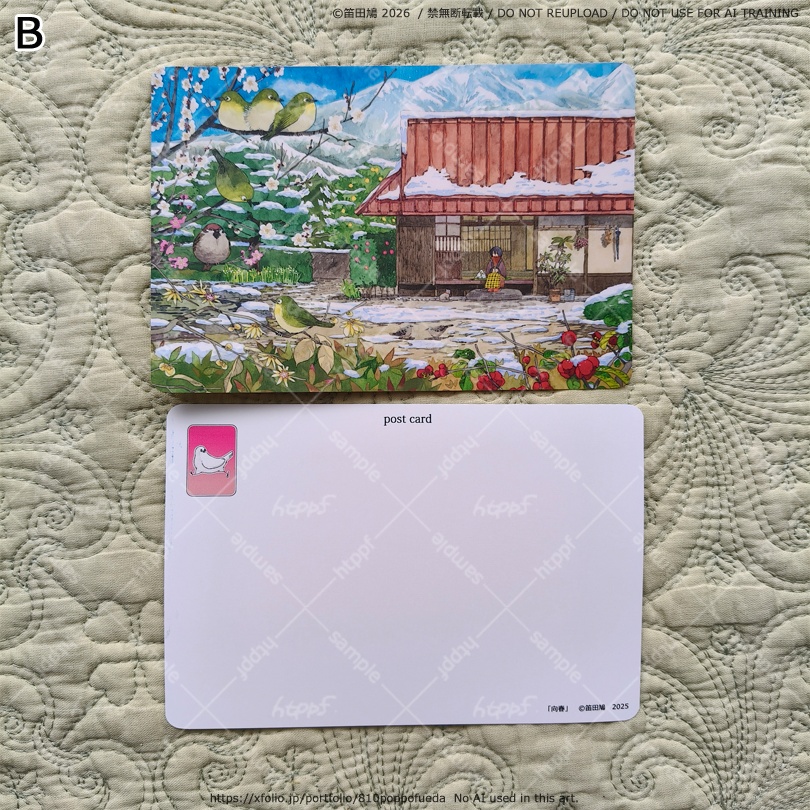 2026 つやピカカード3種+ポストカード8種