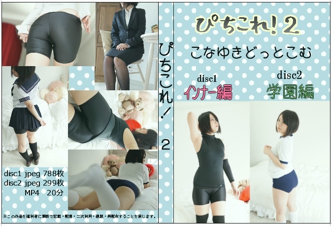 ぴちこれ!2(2枚組)非売品ROM付き