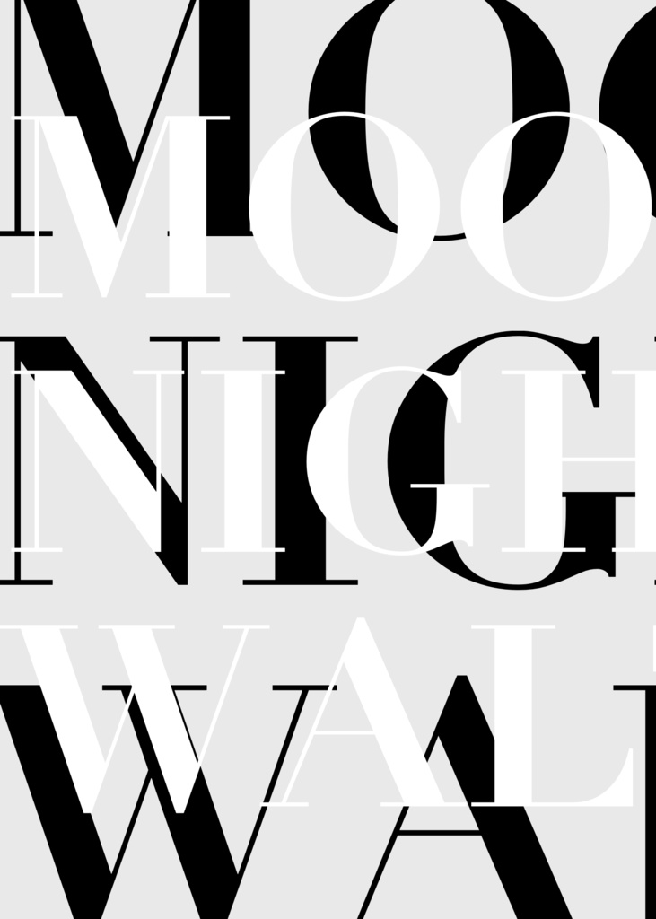 Moonlit Nightly Waltz
