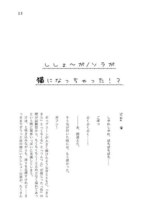 なつそらにゃんこ