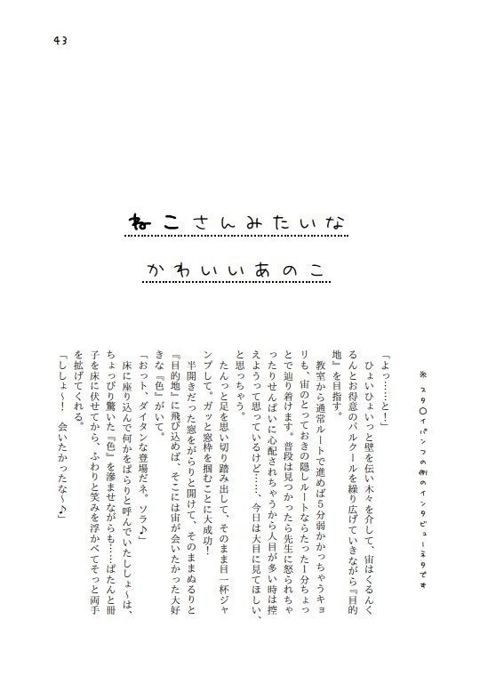 なつそらにゃんこ