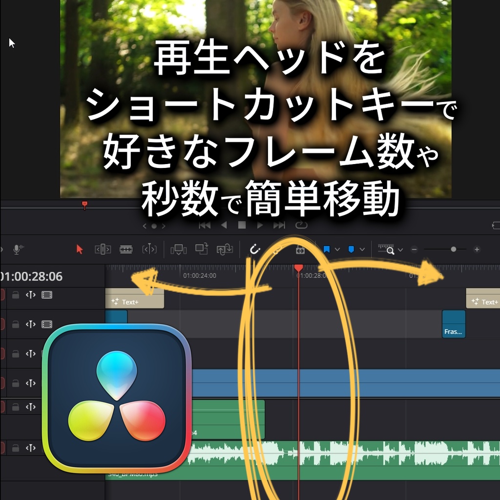 [DaVinci Resolve Studio] Playhead Custom Step