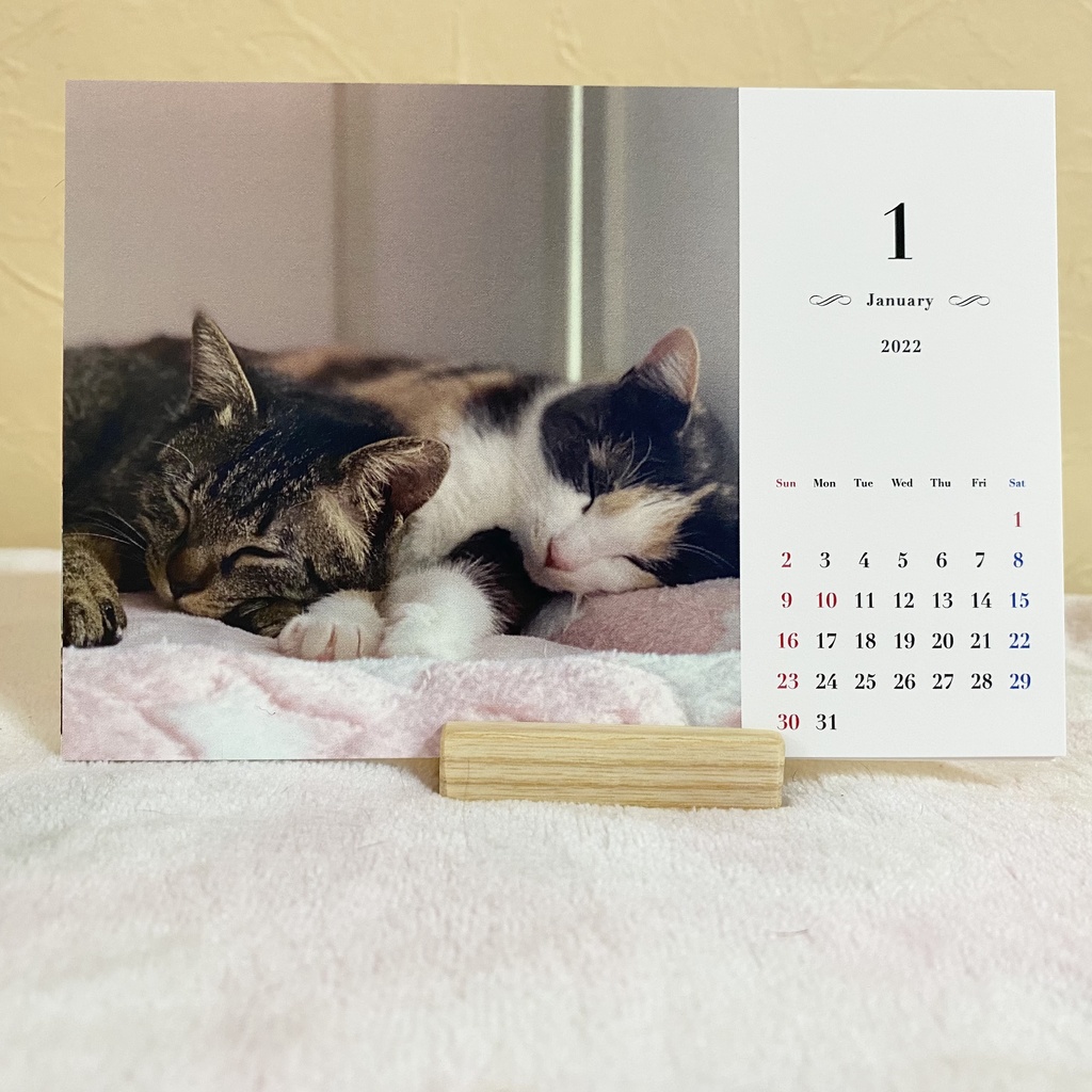 ねこたま庵 保護猫カレンダー2022