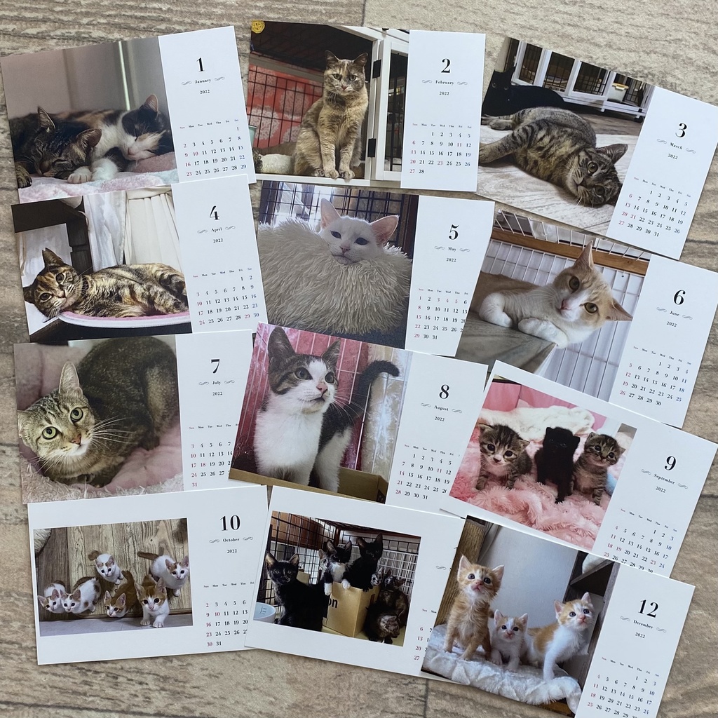 ねこたま庵 保護猫カレンダー2022