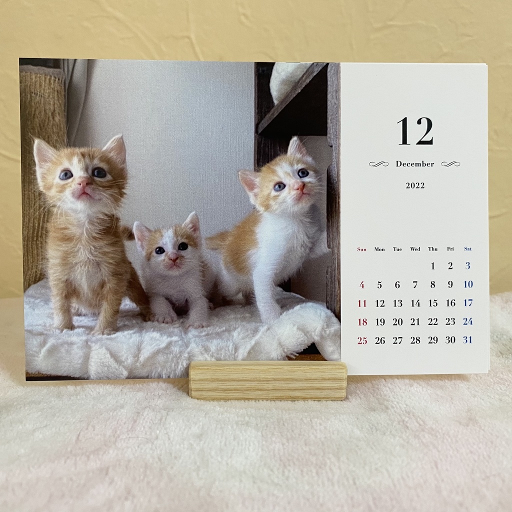 ねこたま庵 保護猫カレンダー2022