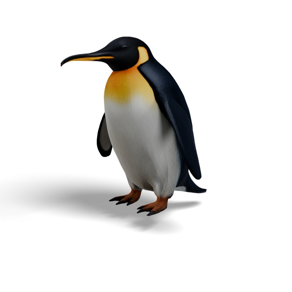 ペンギン（3Dモデル）