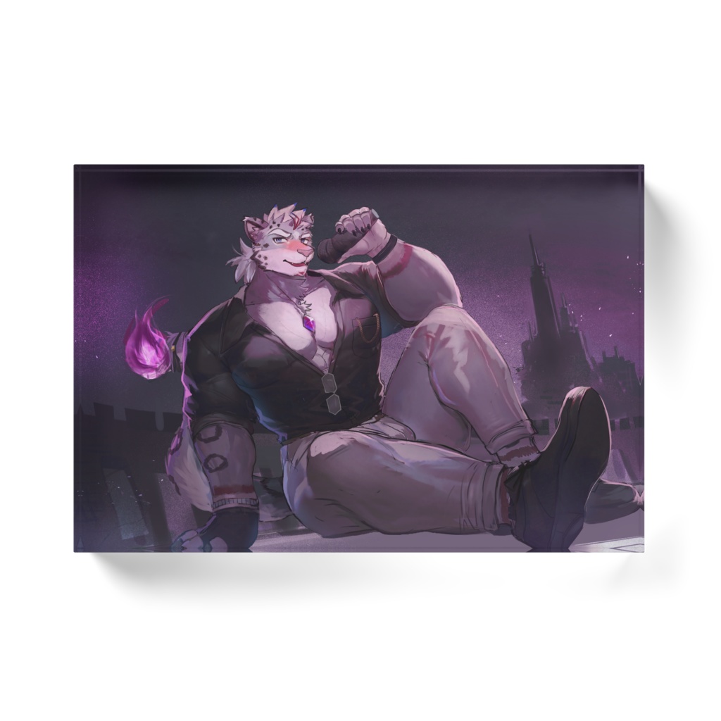 アクリルブロック~隠し撮り