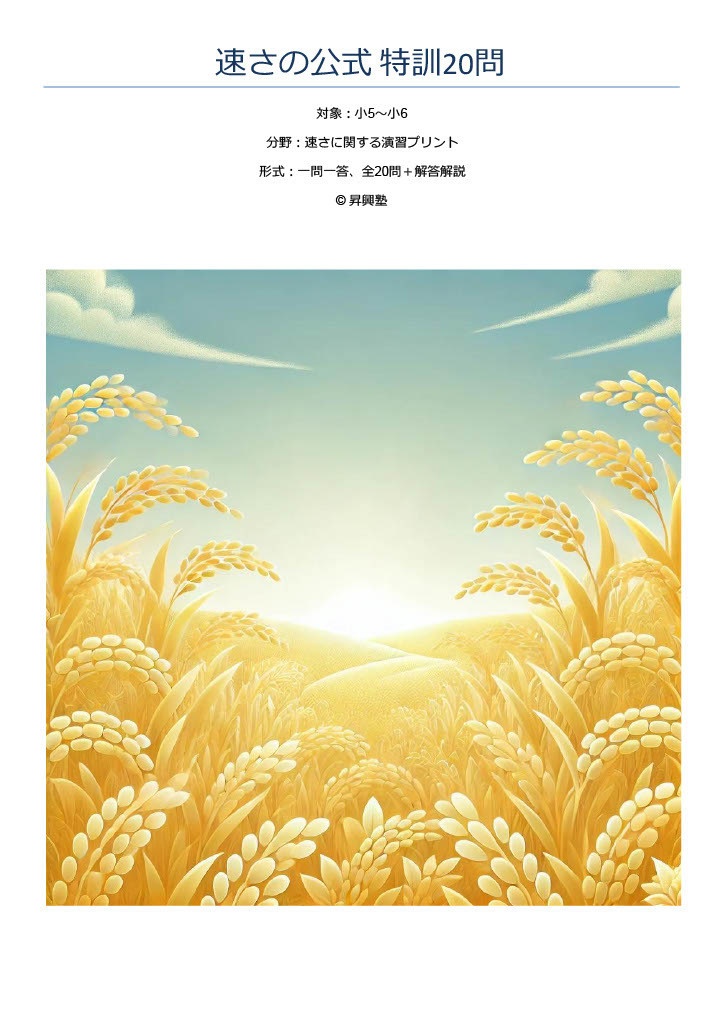 速さの公式 特訓20問