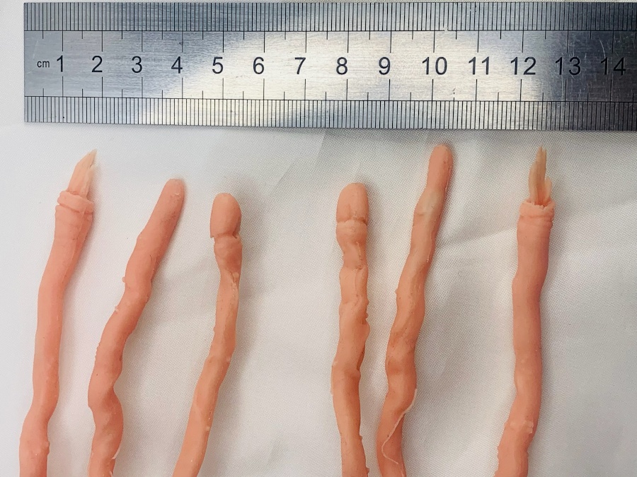 【動く!触手スタンド】(6本30cmサイズ)メガミデバイス 30ms 美少女プラモ フギュア等に!