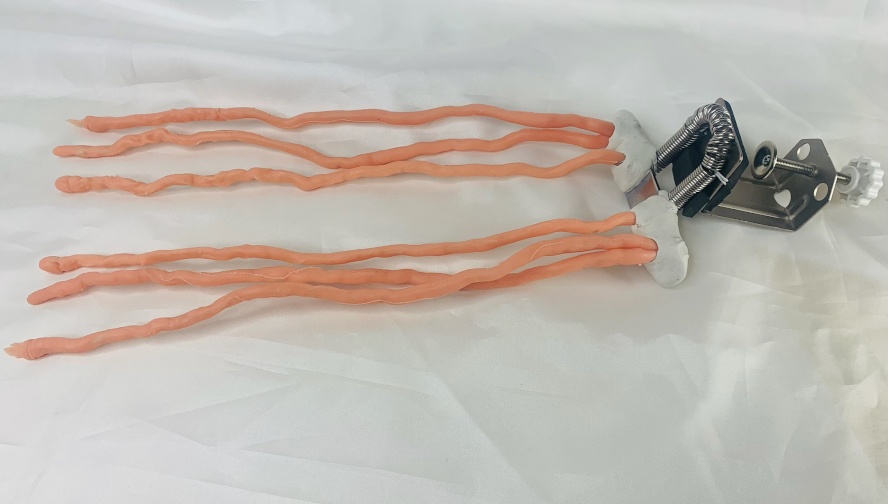 【動く!触手スタンド】(6本30cmサイズ)メガミデバイス 30ms 美少女プラモ フギュア等に!