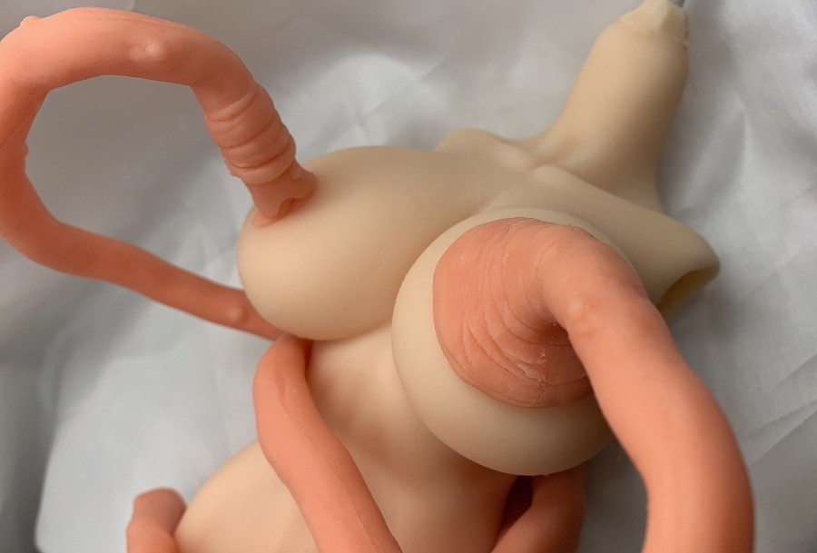 ■ 触手 ■【Bセット】 ドール フィギュア スタンド (シリコン製60cm 2本組)