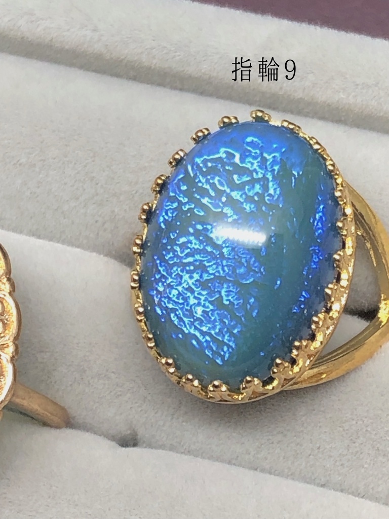 【Gallery】2021年夏〜秋B