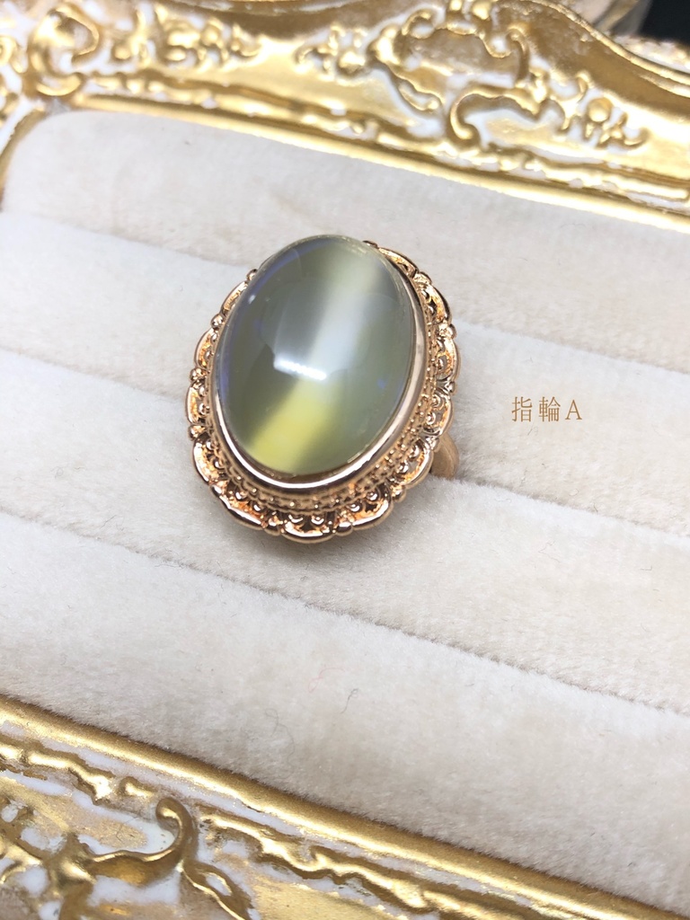 【Gallery】2021年夏〜秋B