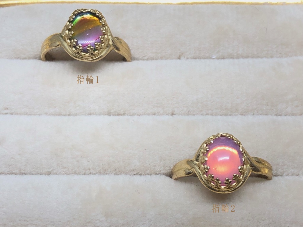 【Gallery】2021年夏〜秋B