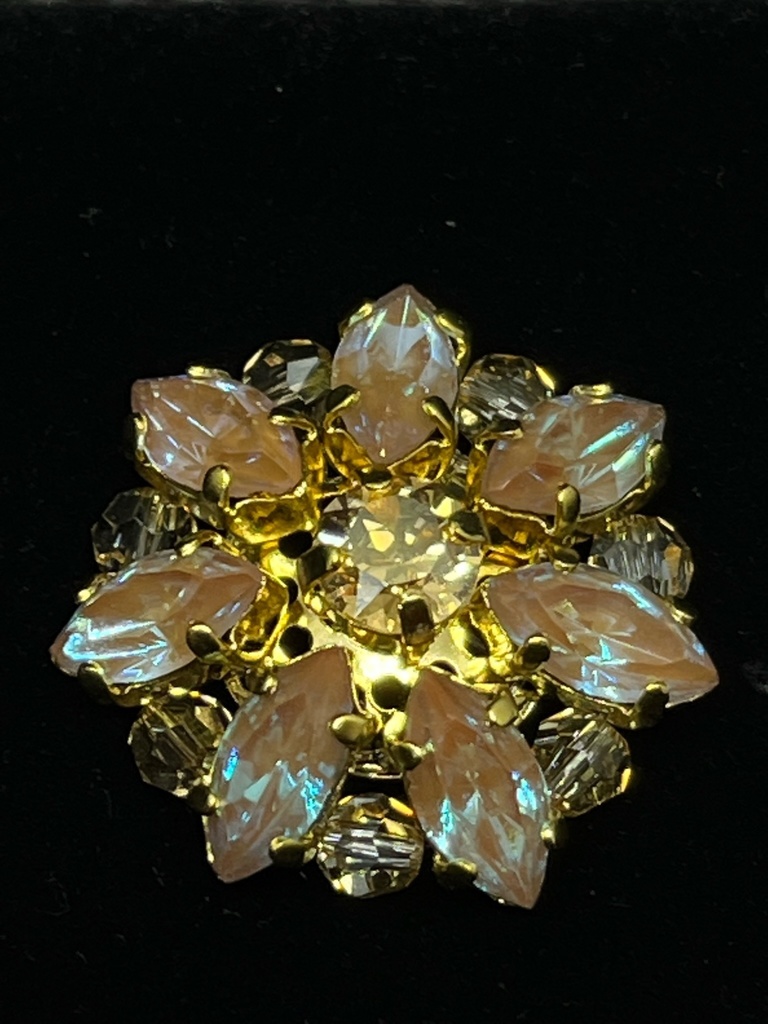 【Gallery】fleur d'étoile