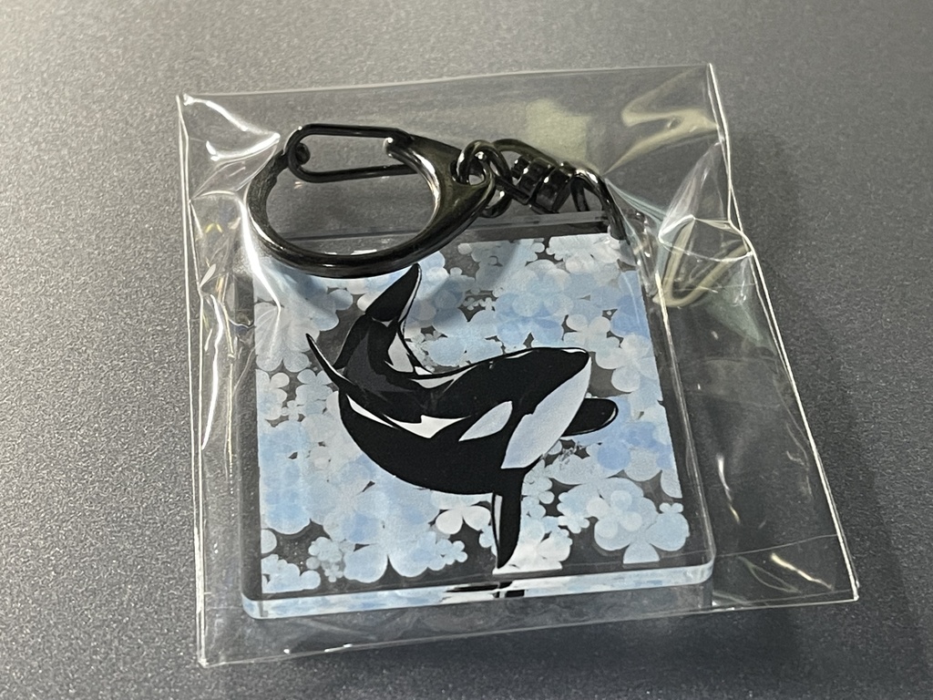 シャチアクキー【秋】