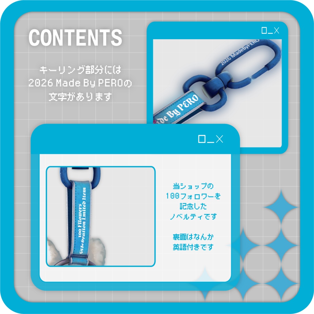 100 Followers novelty