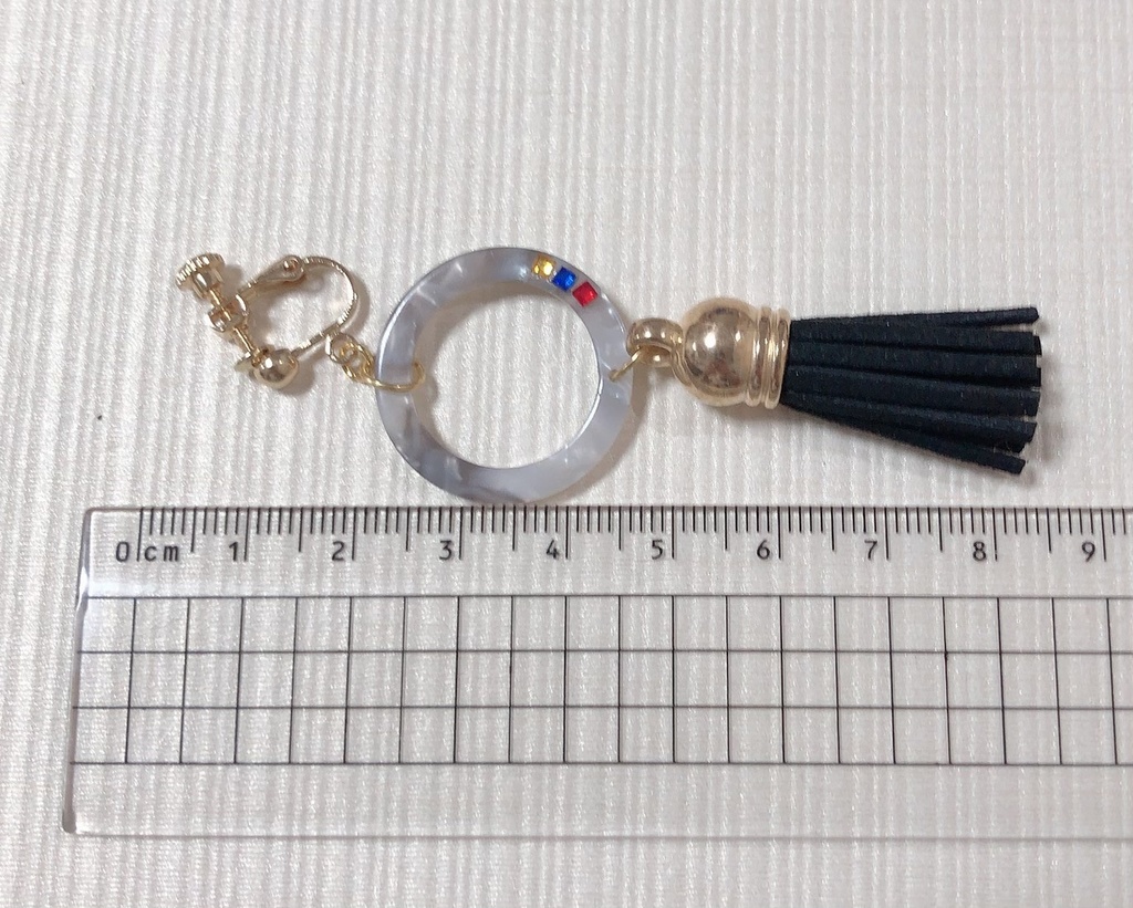 THE 虎牙道イメージイヤリング