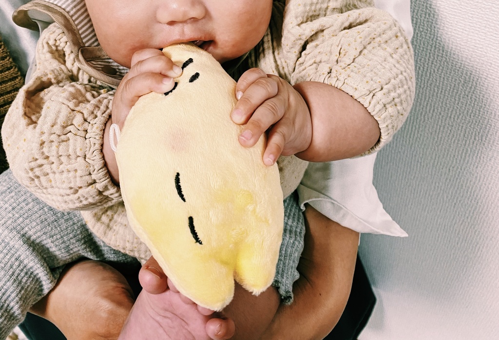 おともたちぬいぐるみ