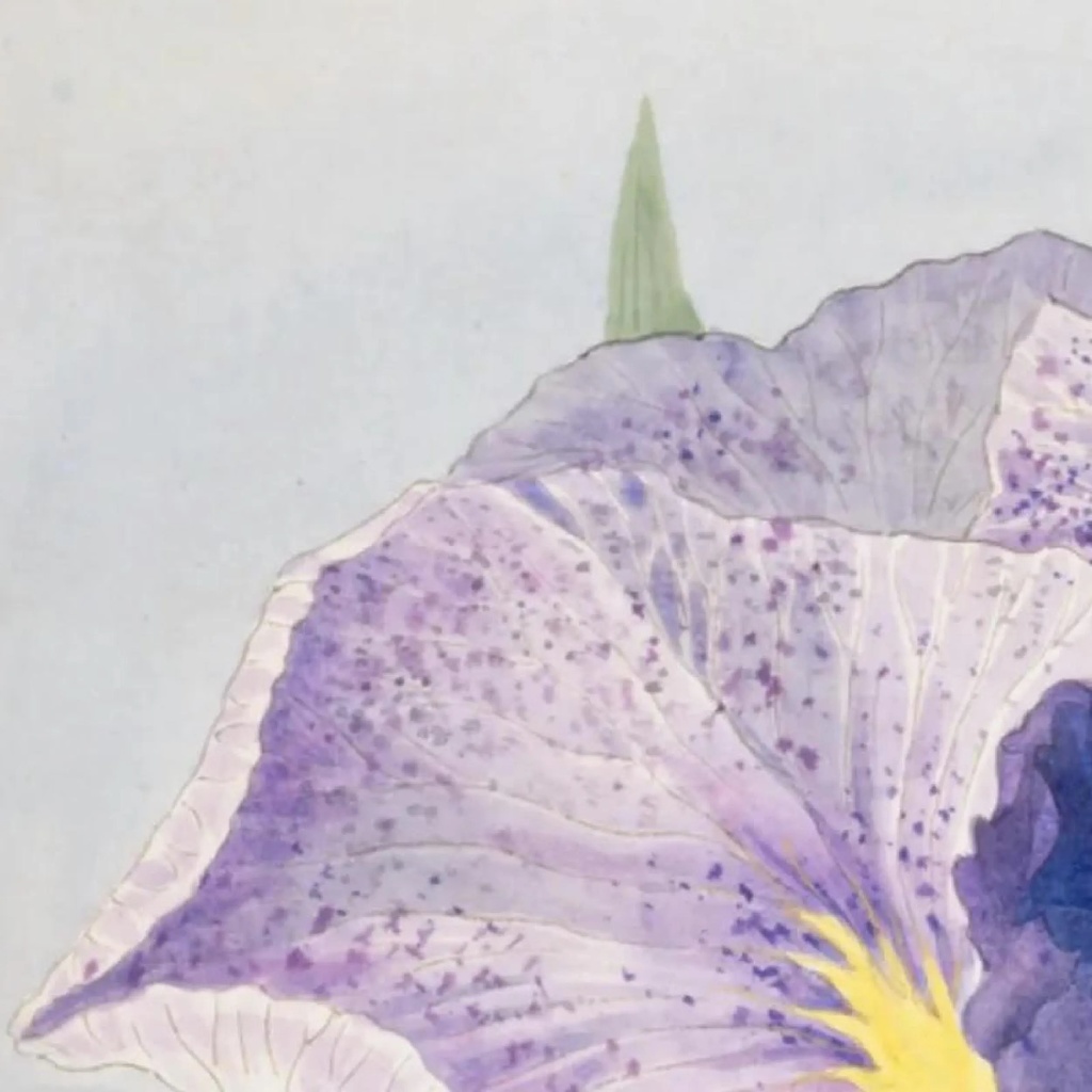 菖蒲ボタニカルアート 壁掛けインテリア|和風ヴィンテージプリント 即時ダウンロード