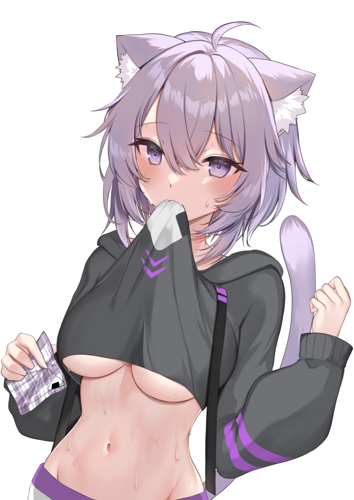 【C101】ホロみみ本 2