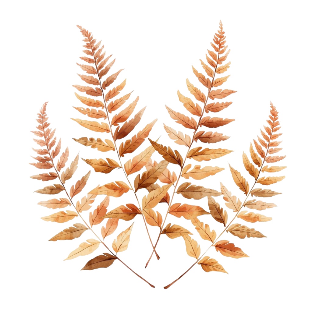 秋の紅葉のイメージ 水彩画風クリップアート16種 PNG形式(背景透過)