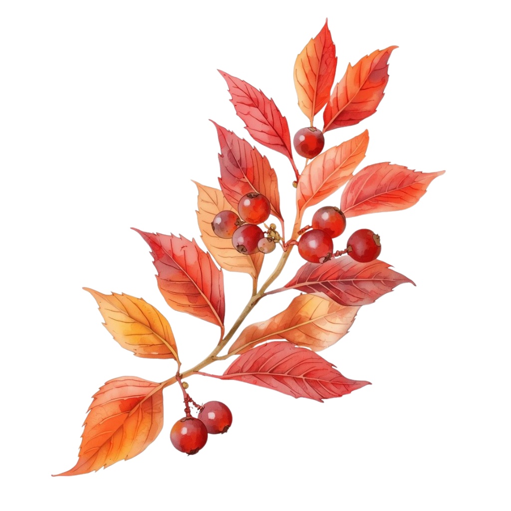 秋の紅葉のイメージ 水彩画風クリップアート16種 PNG形式(背景透過)