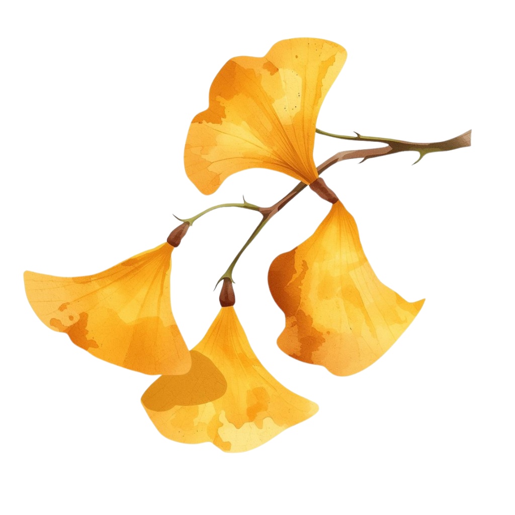 秋の紅葉のイメージ 水彩画風クリップアート16種 PNG形式(背景透過)