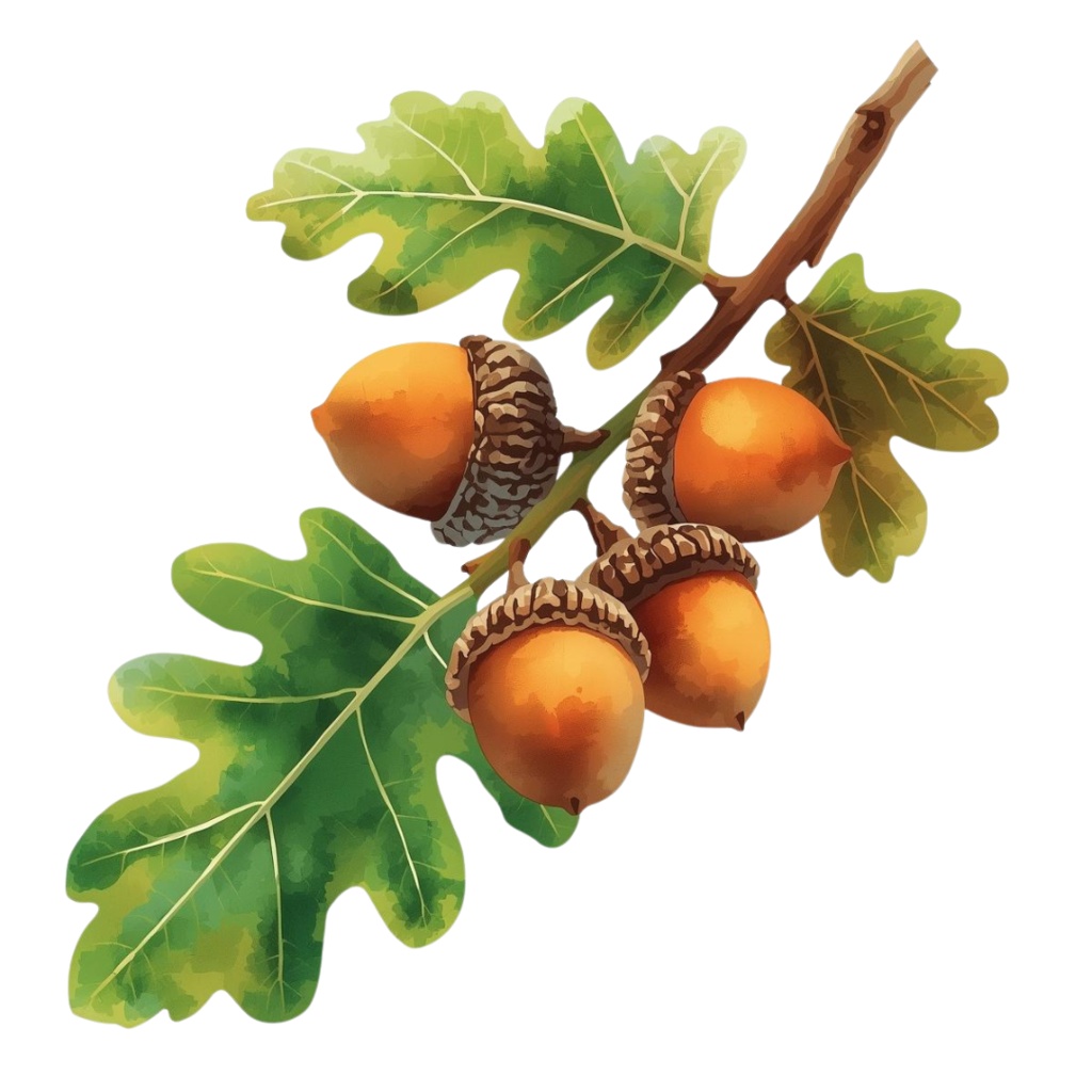 秋の紅葉のイメージ 水彩画風クリップアート16種 PNG形式(背景透過)