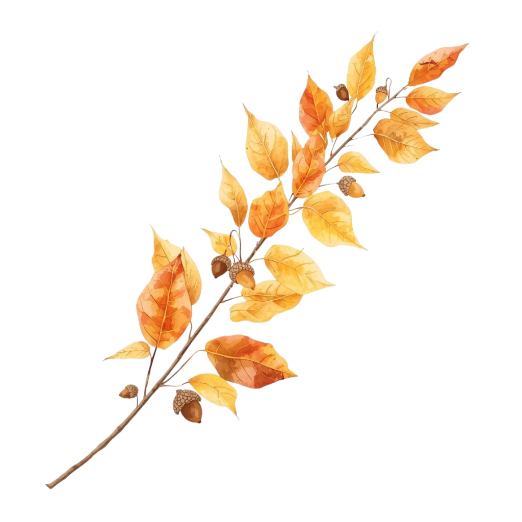 秋の紅葉のイメージ 水彩画風クリップアート16種 PNG形式(背景透過)