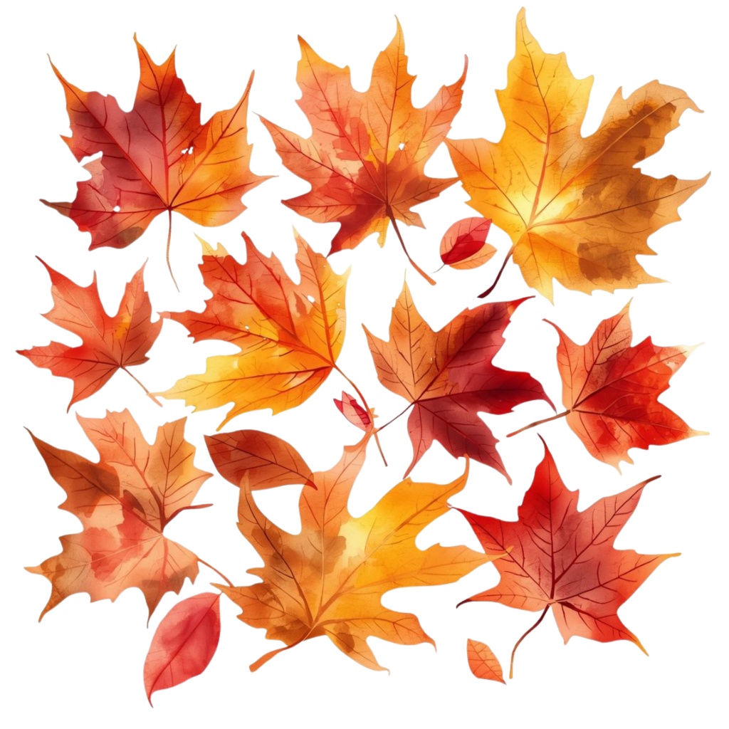 秋の紅葉のイメージ 水彩画風クリップアート16種 PNG形式(背景透過)