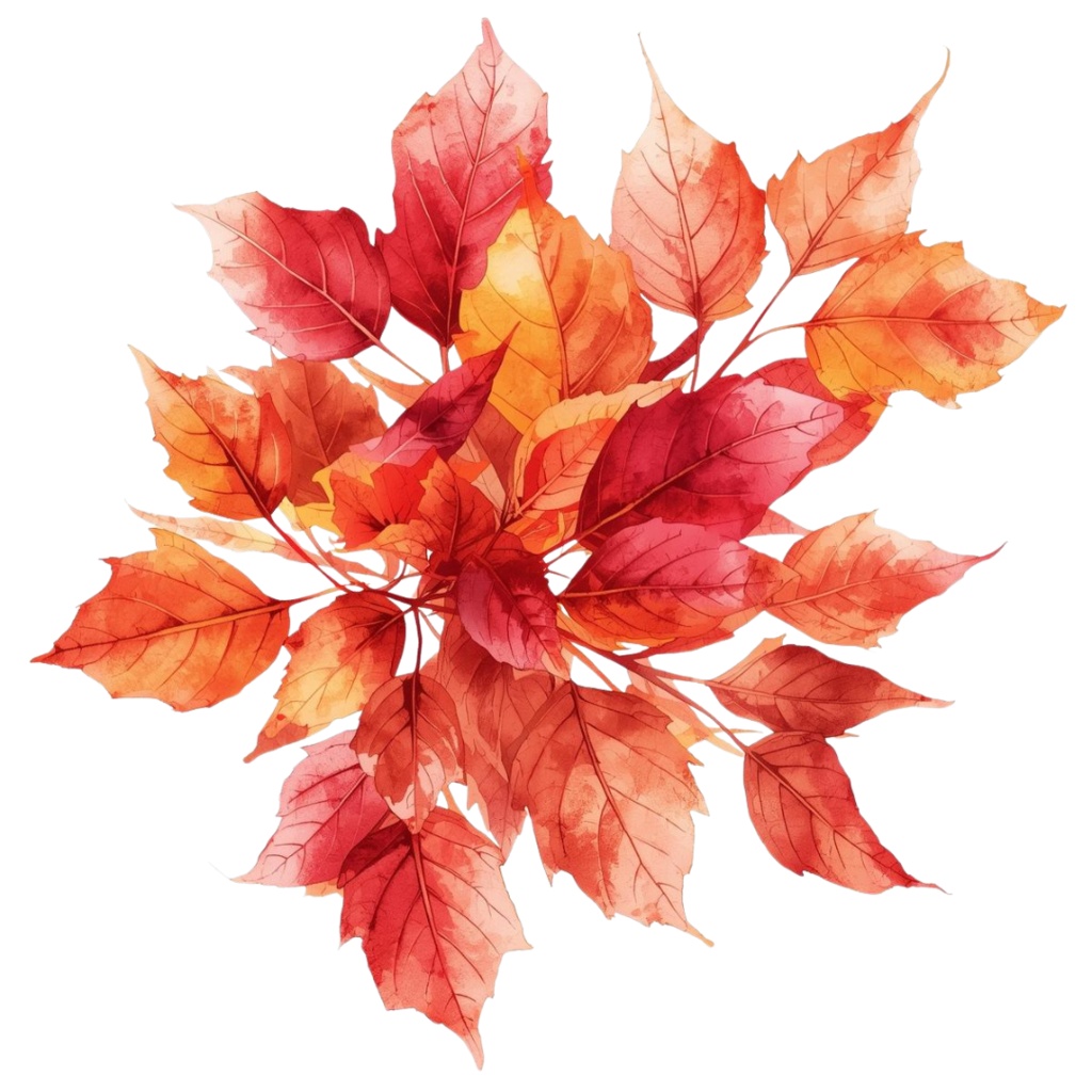 秋の紅葉のイメージ 水彩画風クリップアート16種 PNG形式(背景透過)